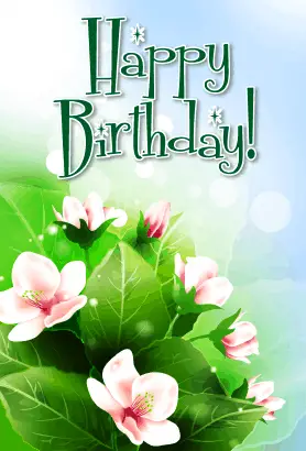 Flowers Birthday Card