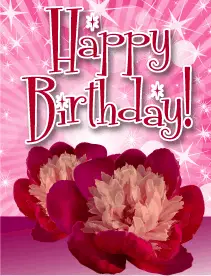 Pink Flowers Small Birthday Card