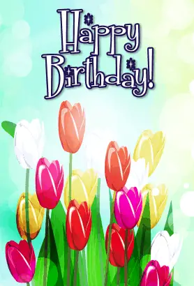 Tulips Birthday Card