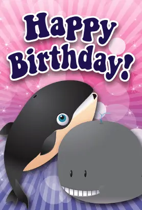 Whales Birthday Card